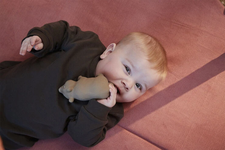 Filibabba Bidedyr I Naturgummi - Bjørnen Bertram 6 Filibabba Bidedyr I Naturgummi - Bjørnen Bertram - Billede 4