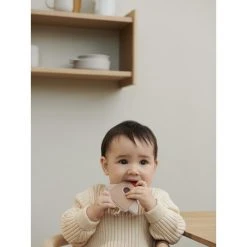 Liewood Gia Teether 2-pack Space Rose Multi Mix -Ergobaby store unnamed file 2837