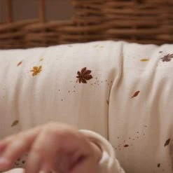 Filibabba Babynest - Chestnuts Chestnuts 16 Filibabba Babynest - Chestnuts Chestnuts -Ergobaby store unnamed file 3142